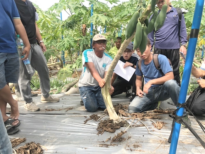 木瓜園栽種技術課程-台南青農聯誼會